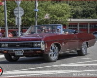 TSR Watermark - 0591